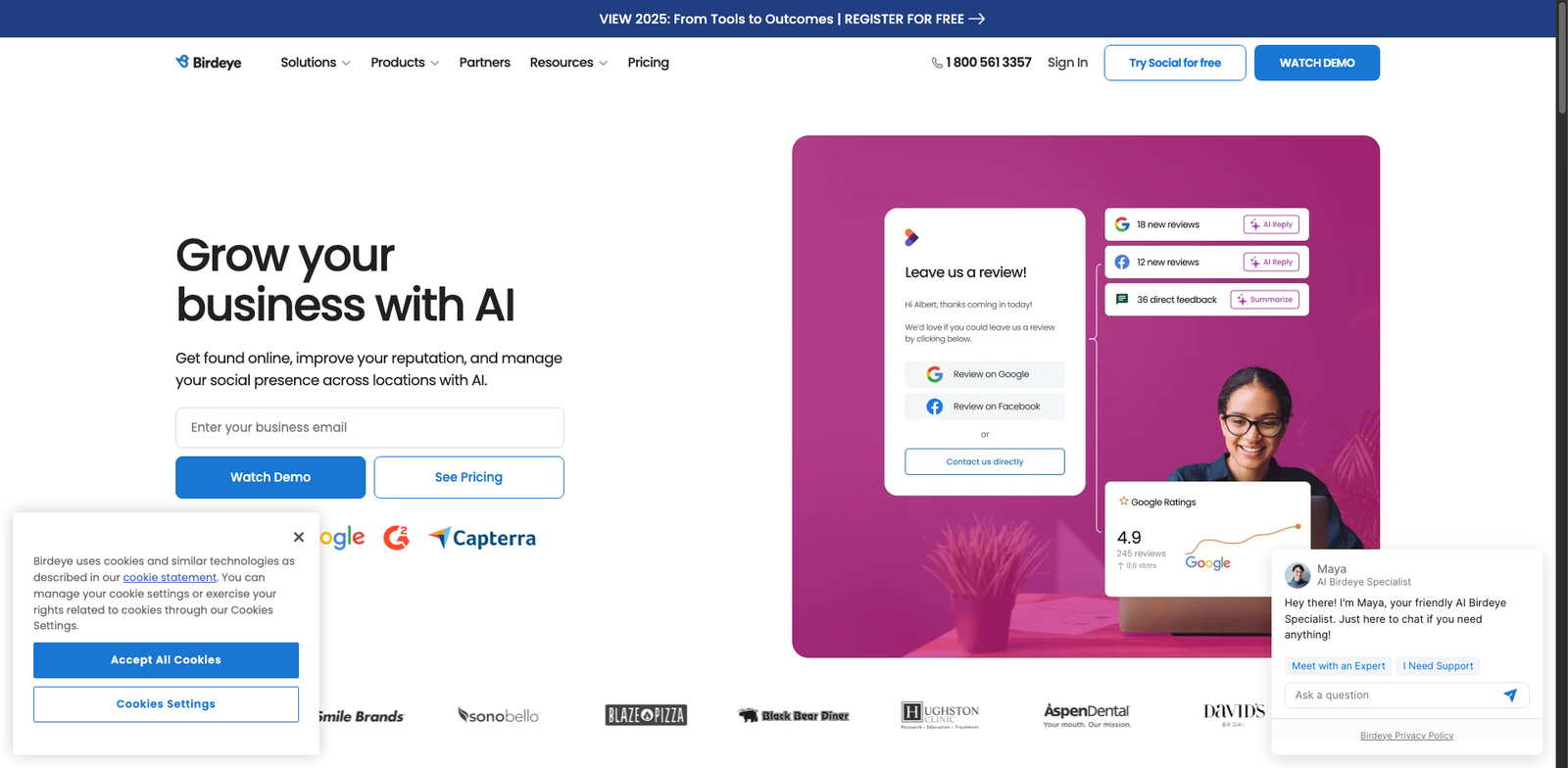 Birdeye Insights homepage