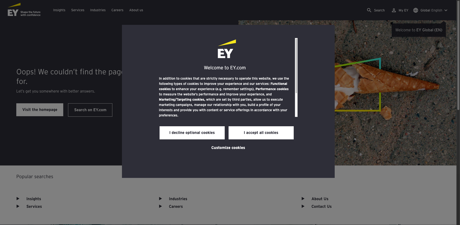 EY ARC Suite pricing