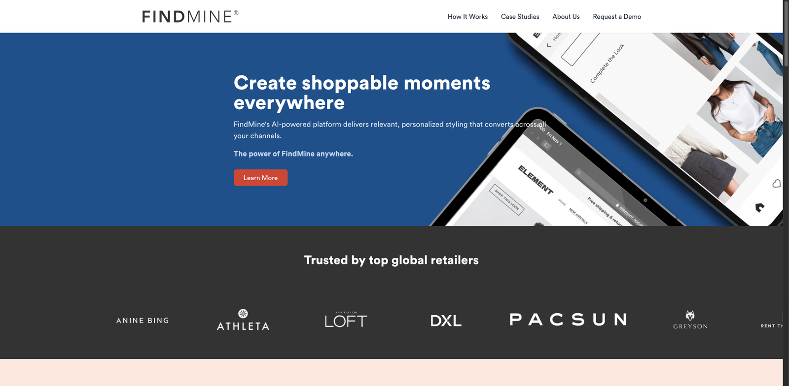 FindMine Complete The Look homepage