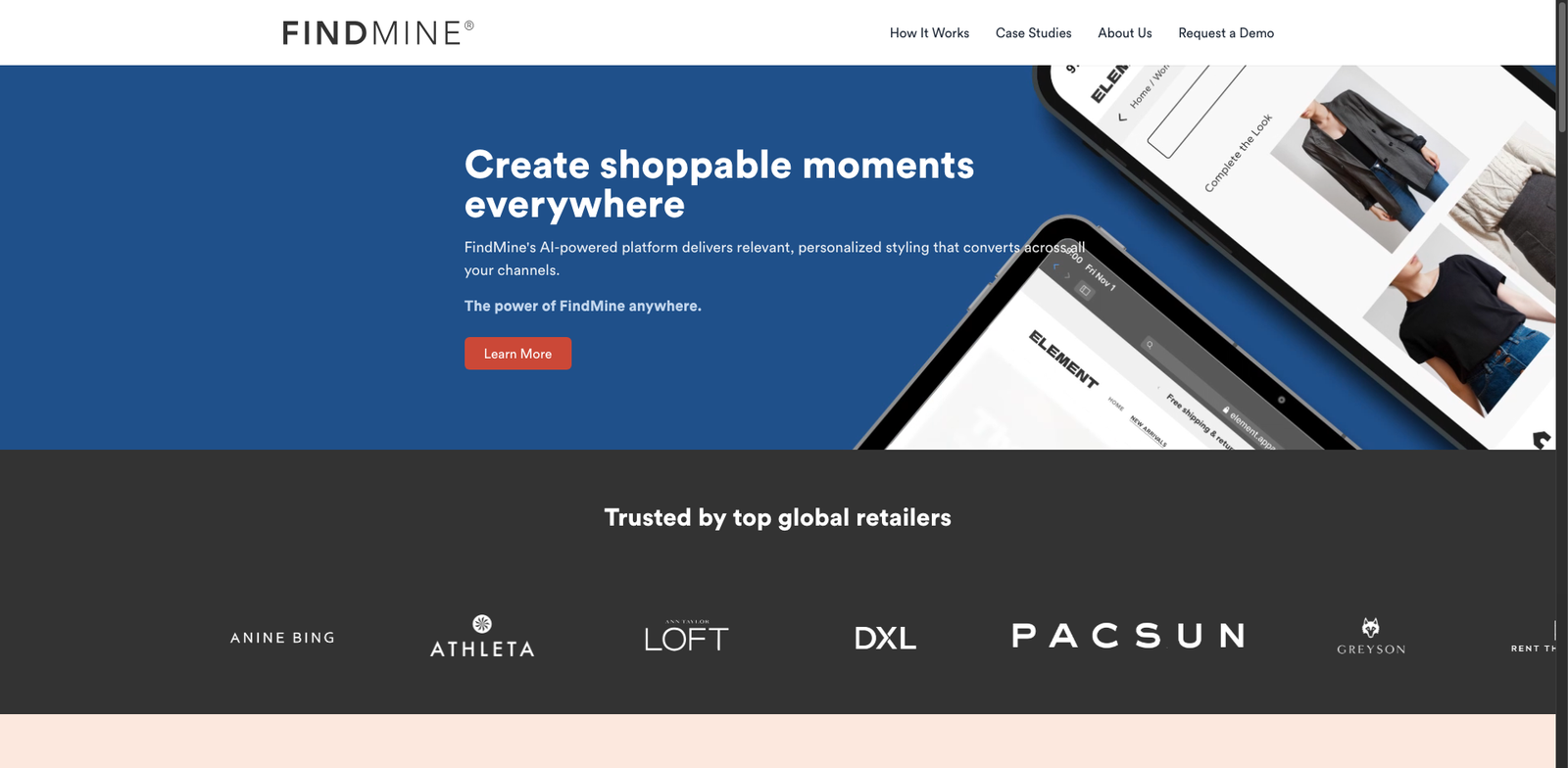 FindMine Complete The Look pricing