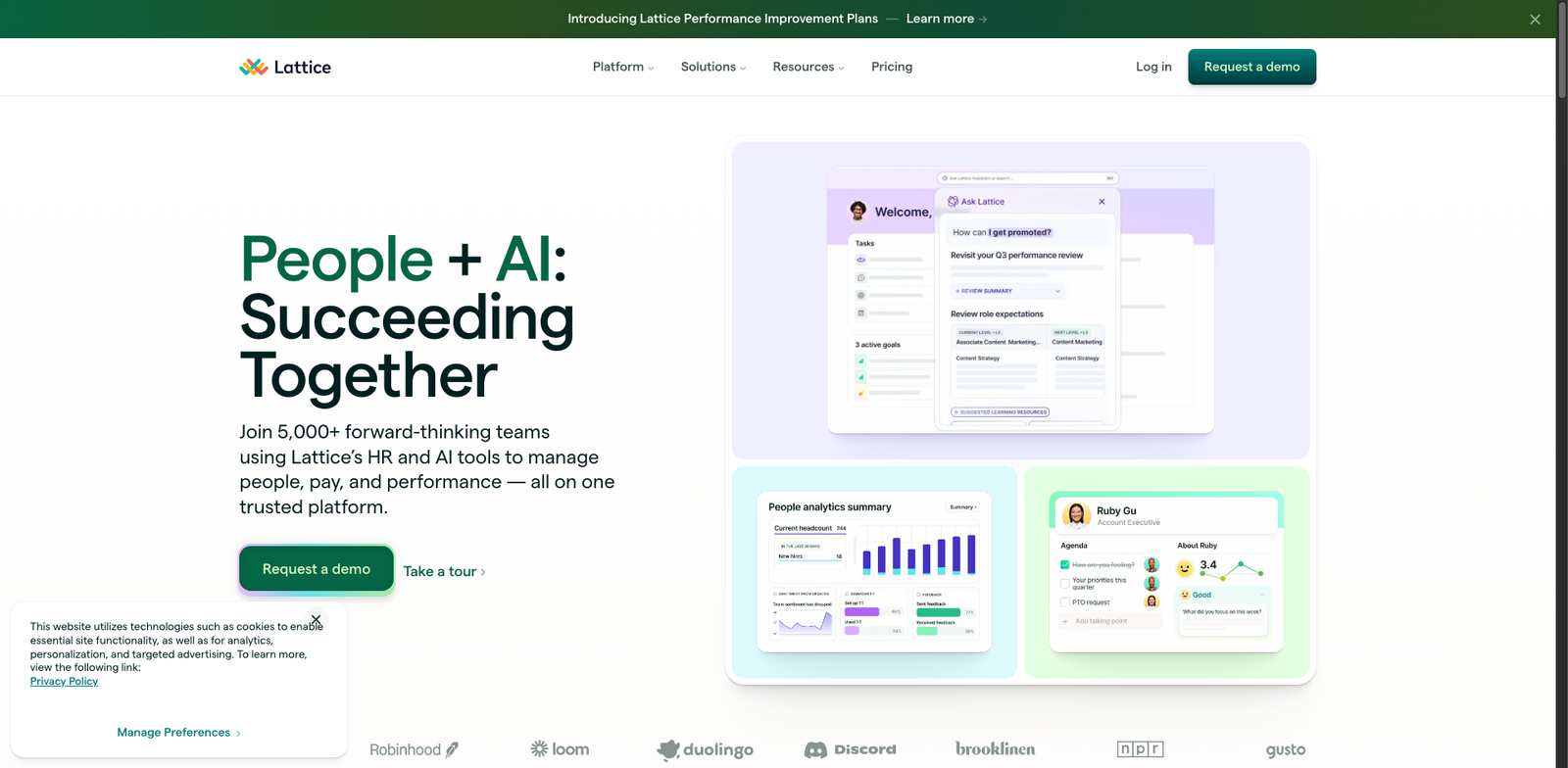 Lattice Performance homepage