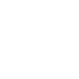 Luma AI Faces logo