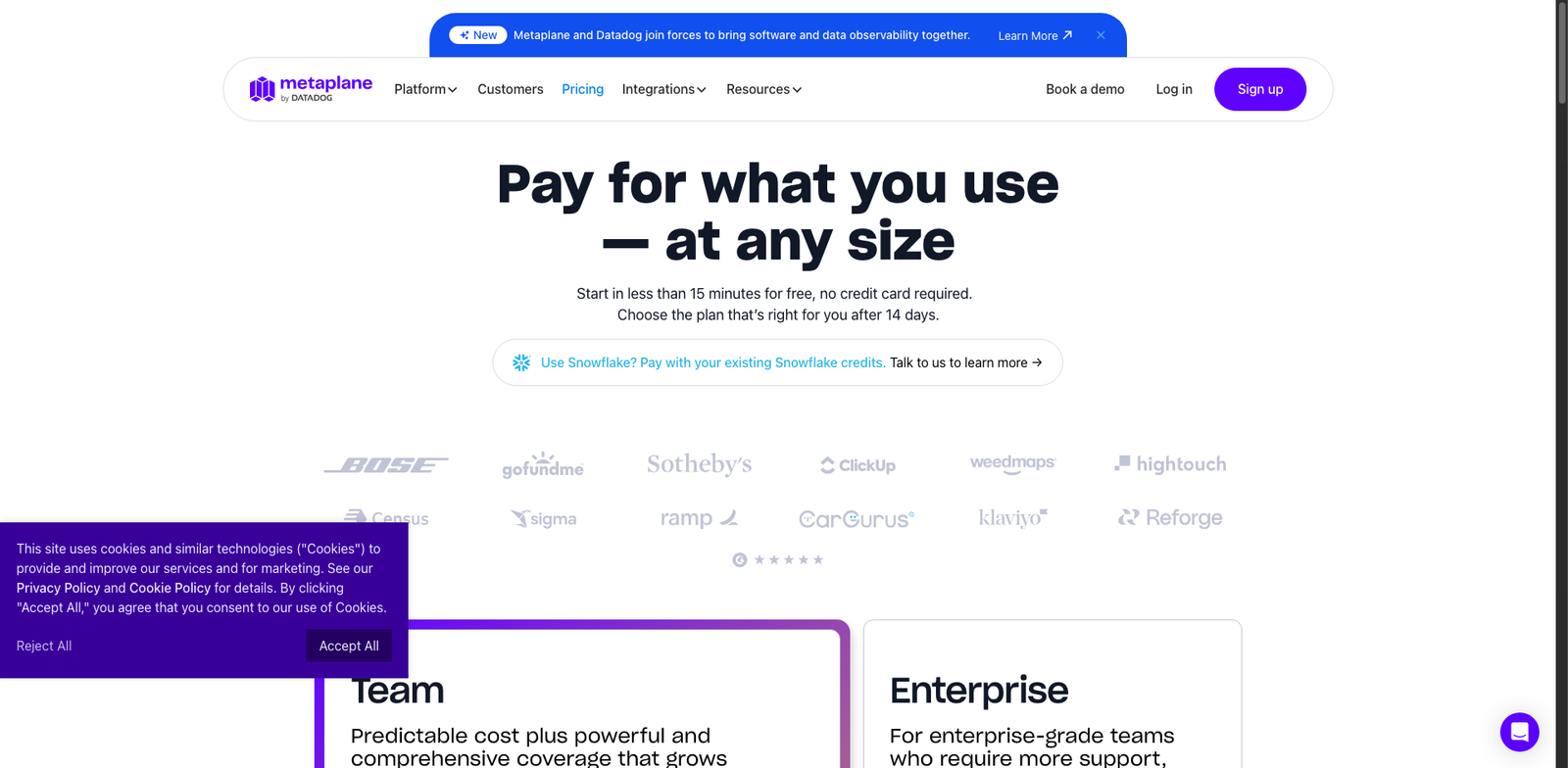 Metaplane ML pricing
